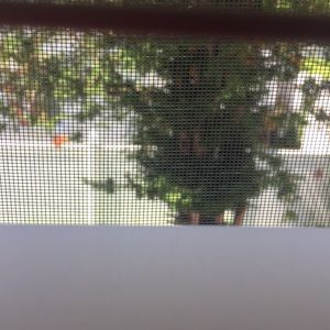 Meet your Posher, Sky